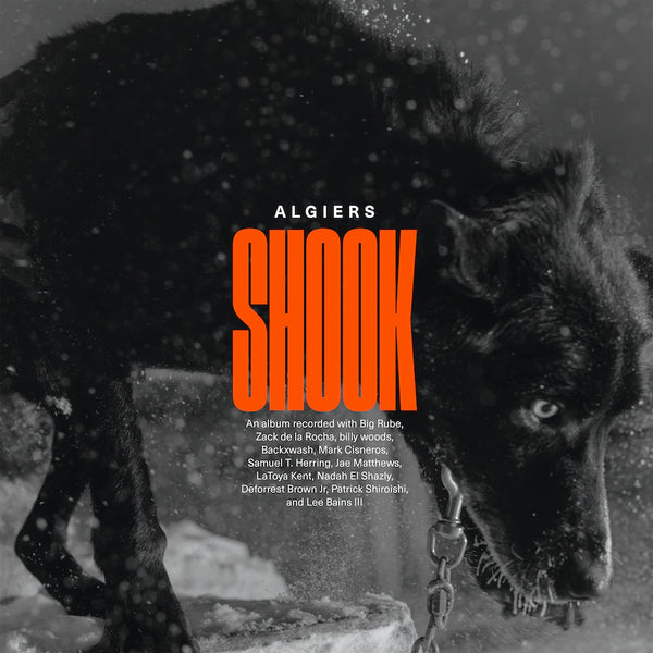 ALGIERS - SHOOK (2XLP, GOLD VINYL)