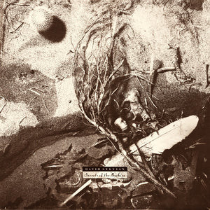 DAVID SYLVIAN - SECRETS OF THE BEEHIVE