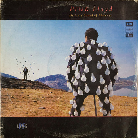 Pink Floyd - Delicate Sound of Thunder