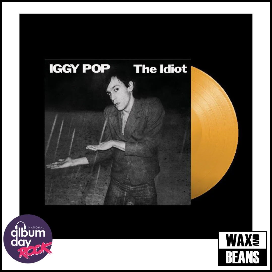 Iggy Pop - The Idiot - National Album Day 2025