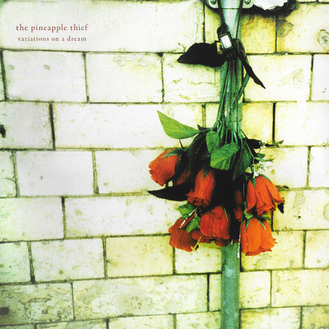 The Pineapple Thief – Variations On A Dream