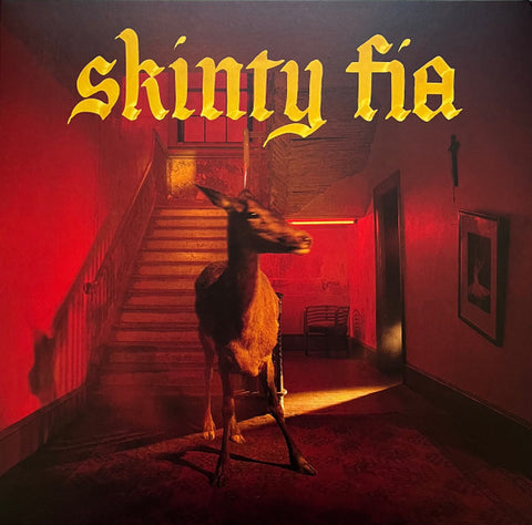 FONTAINES DC - SKINTY FIA