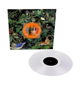 DON BROCO - AMAZING THINGS - Transparent Vinyl