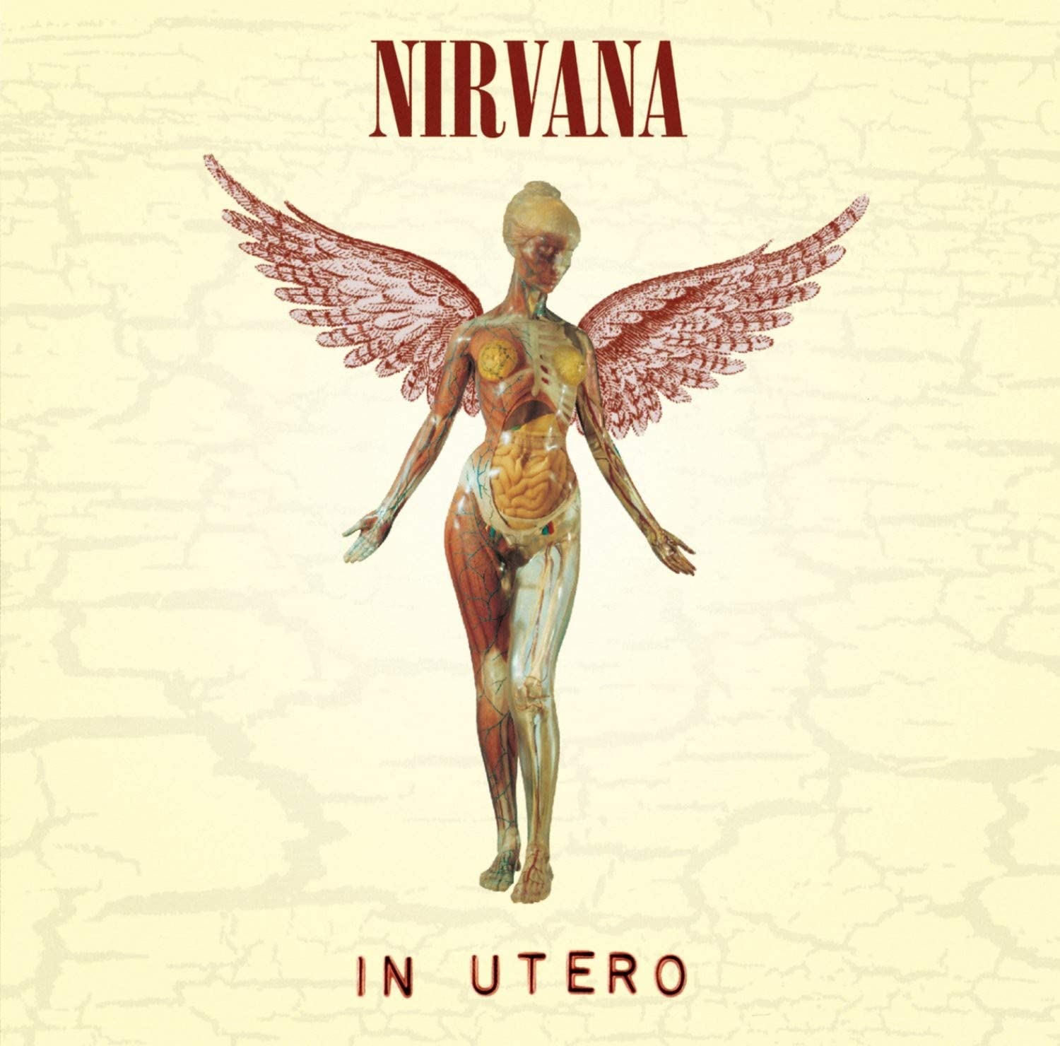 NIRVANA - IN UTERO